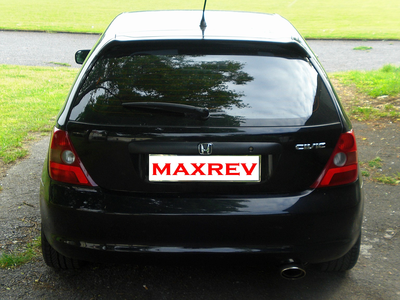 maxrev1.jpg