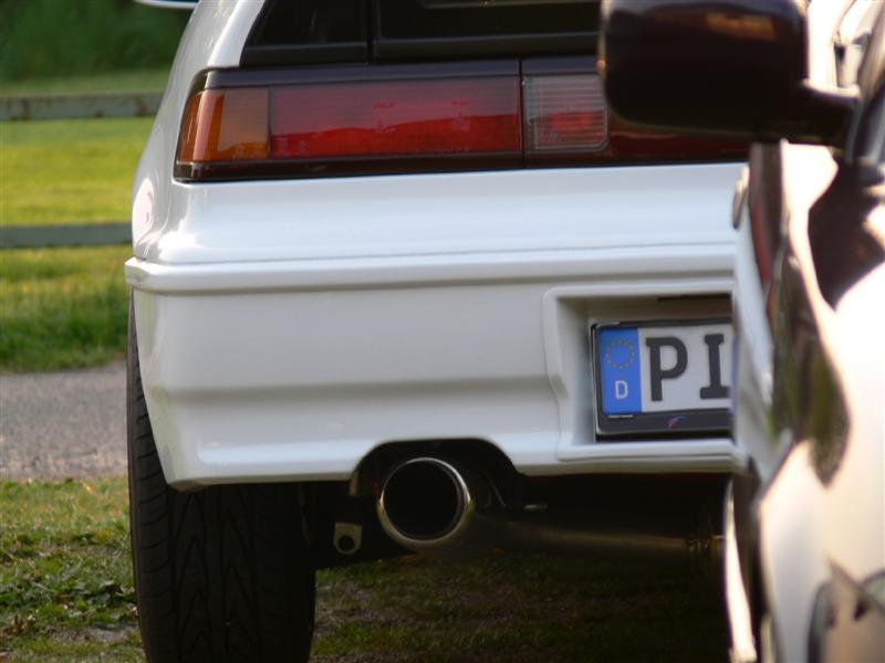 P1040698 (Medium).JPG