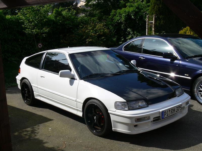 P1040714 (Medium).JPG