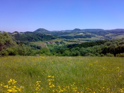 230520091666.jpg
