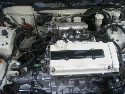CIMG0887.JPG