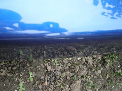DSCN0671.JPG
