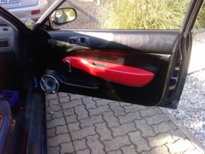 türverkleidung.jpg