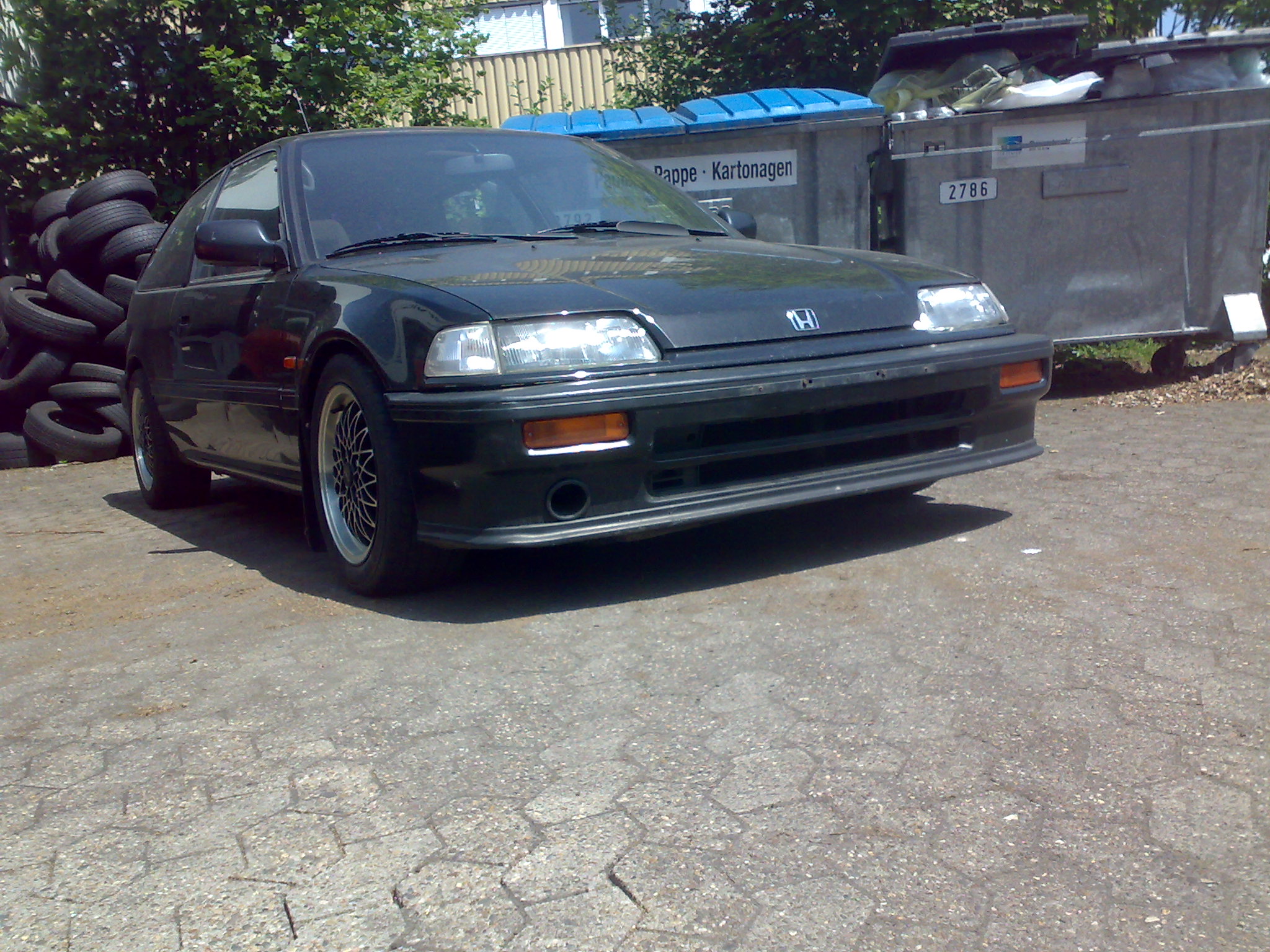 25052009372.jpg