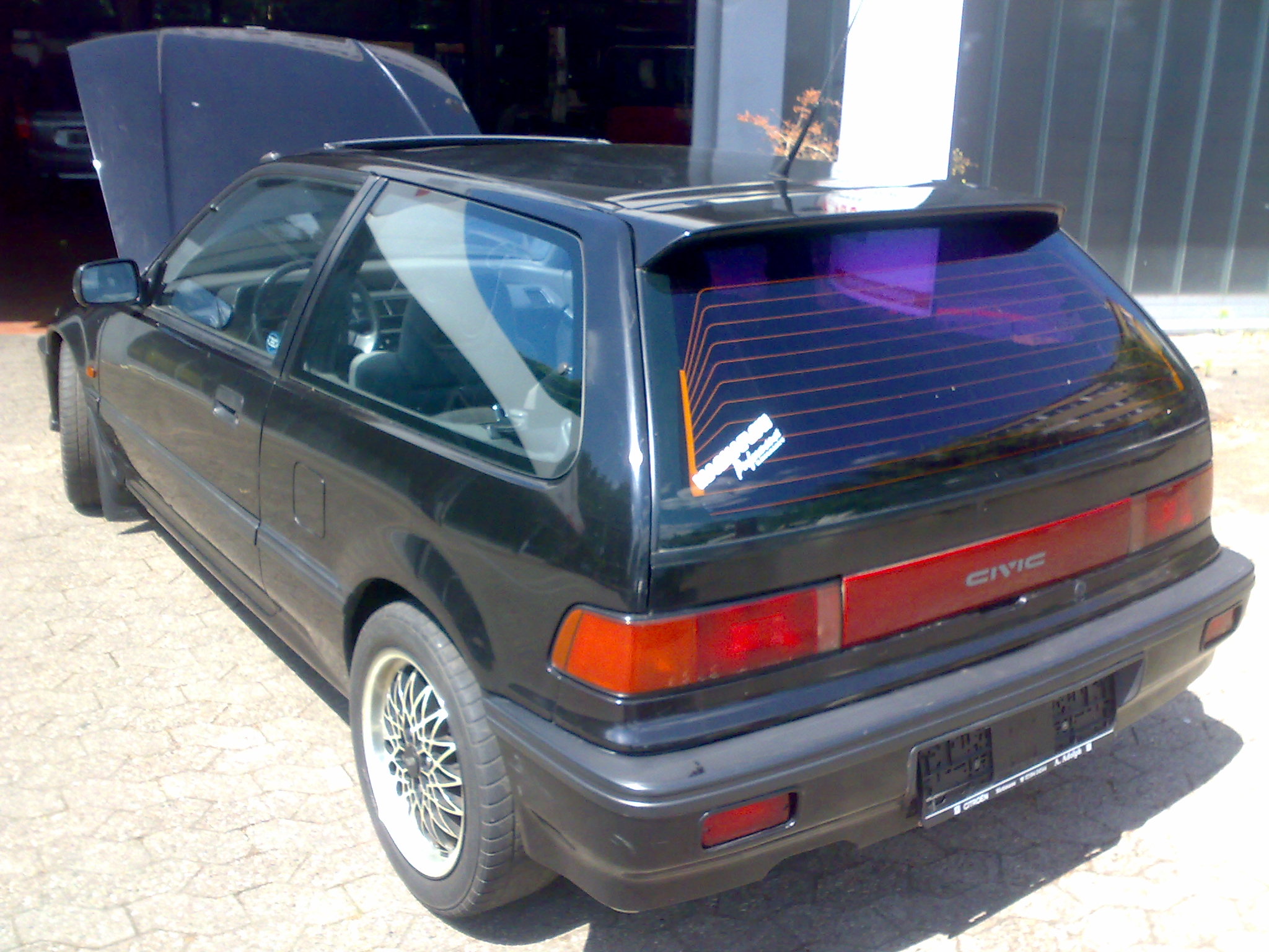 30052009386.jpg