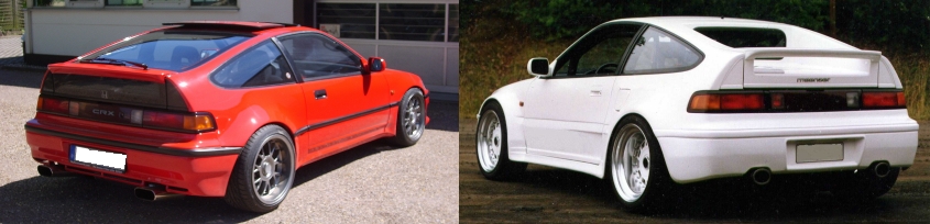 CRX-SHARK-Mandingo.jpg