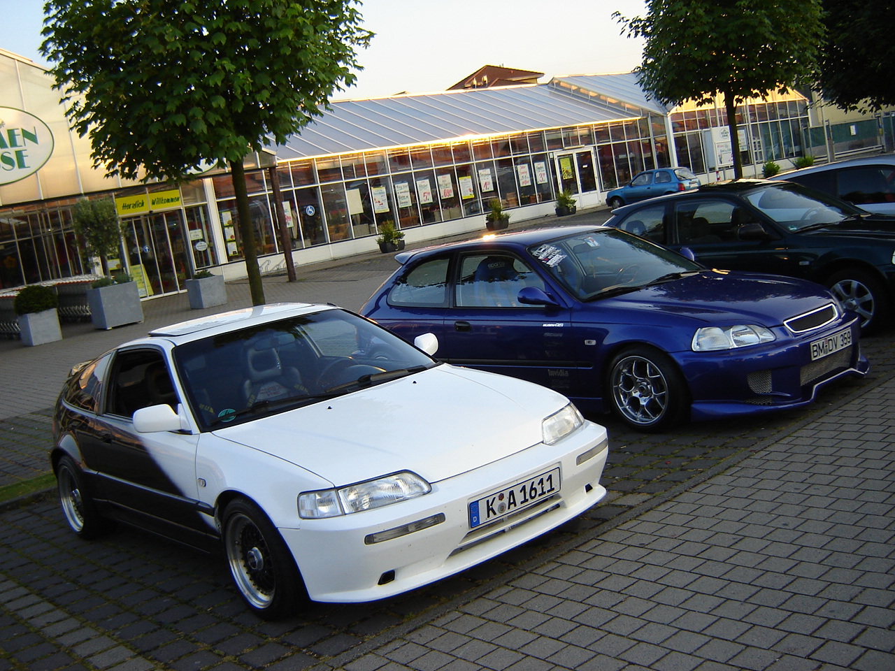 DSC06079.JPG
