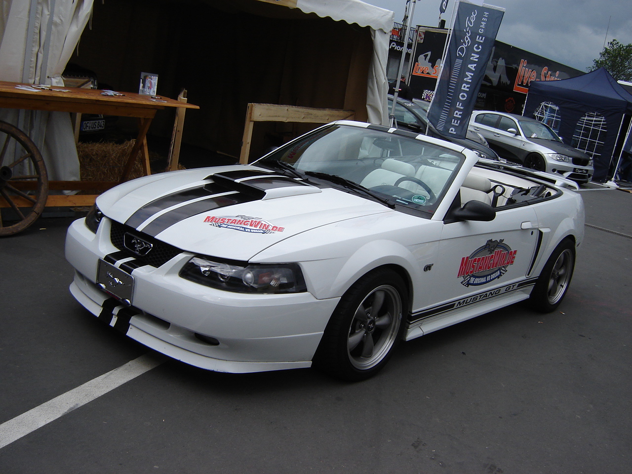 DSC06246.JPG