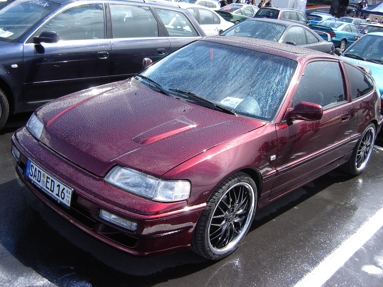 DSC06292.JPG