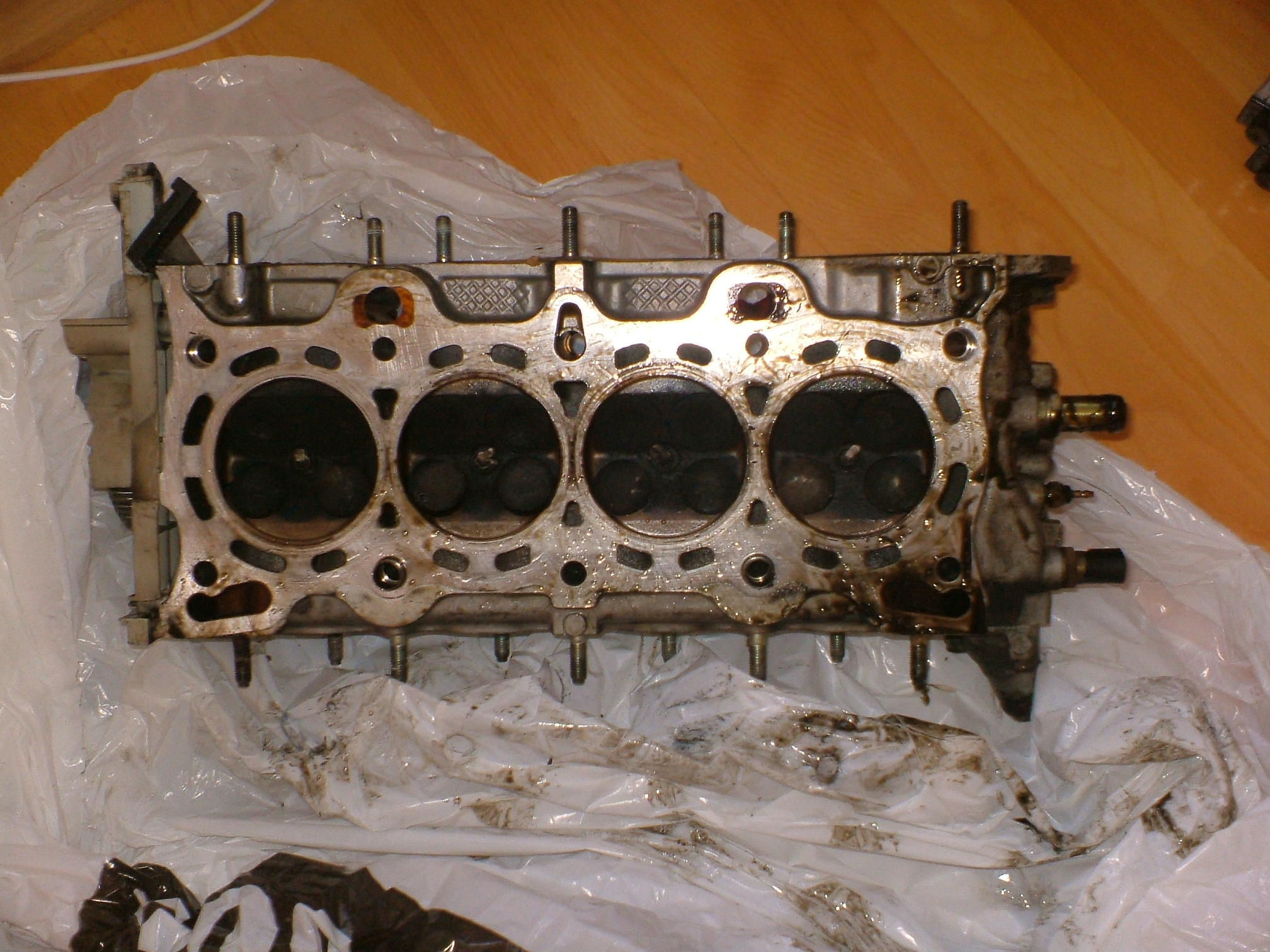DSCF0502.JPG