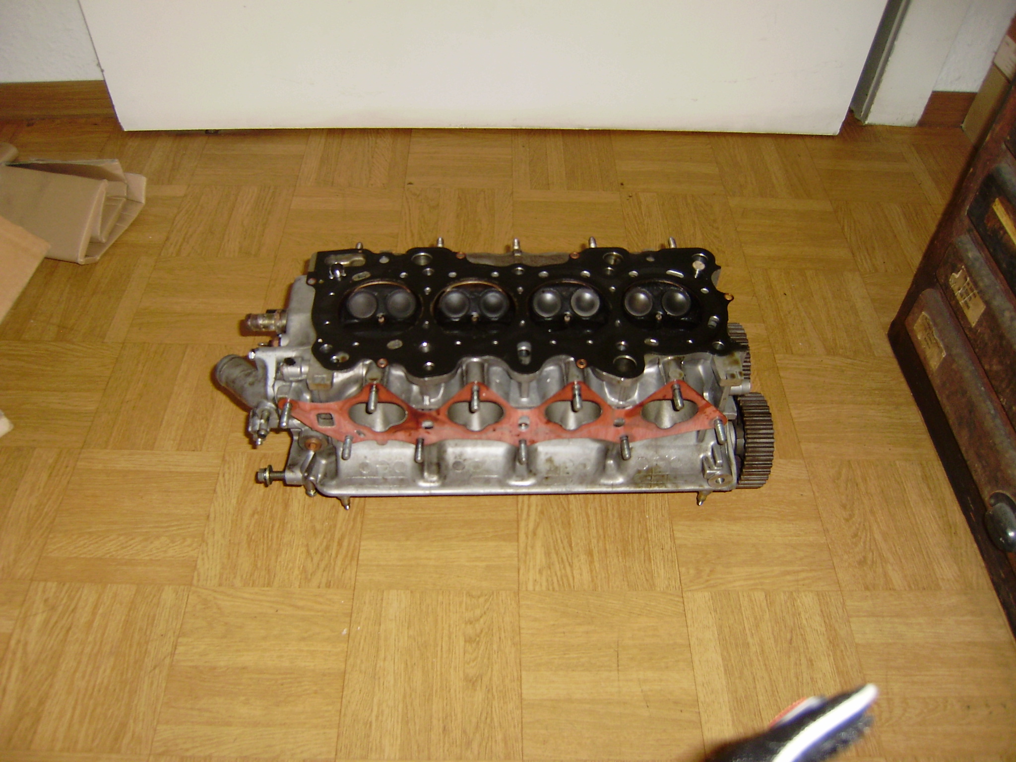P5210380.JPG