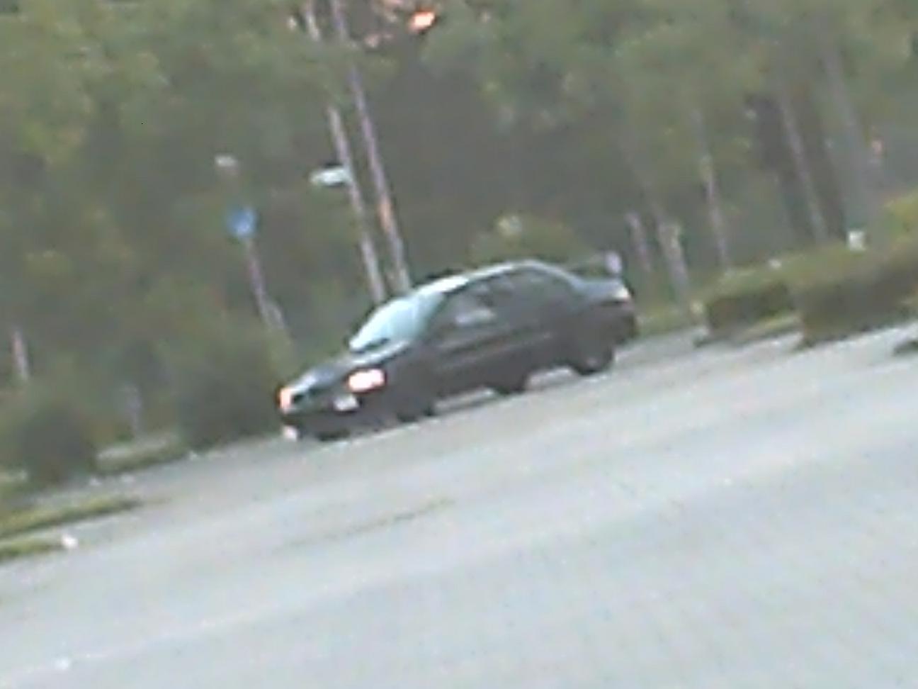 PICT0017.JPG