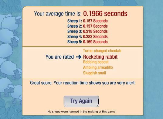 screen.JPG