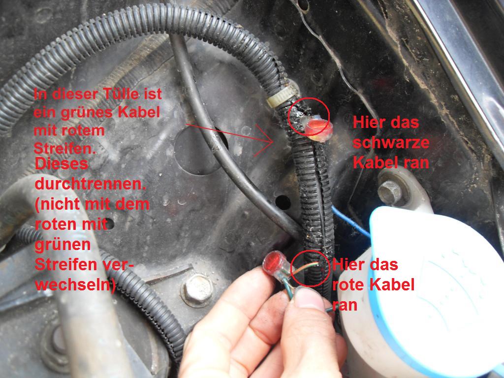 SDC12890.JPG