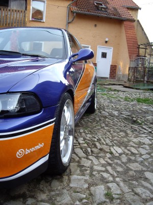 c6.JPG