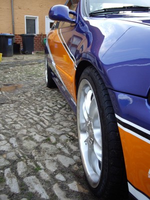 c8.JPG