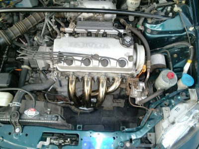 CIMG0533.JPG