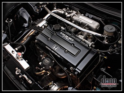 CRX_Dano_05.jpg