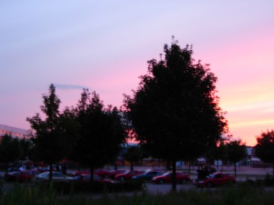 DSC06066.JPG