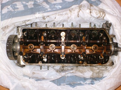 DSCF0501.JPG