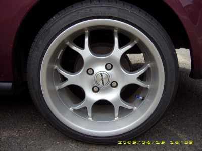 DSCI0730.JPG