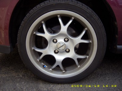 DSCI0731.JPG