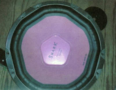 img010.jpg