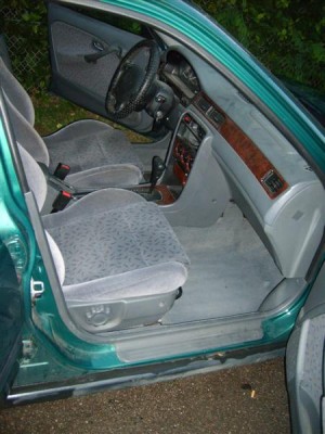 SD533365 (Medium).JPG