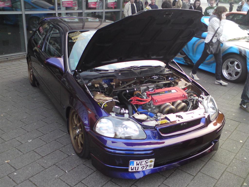 DSC00043 (Large).JPG