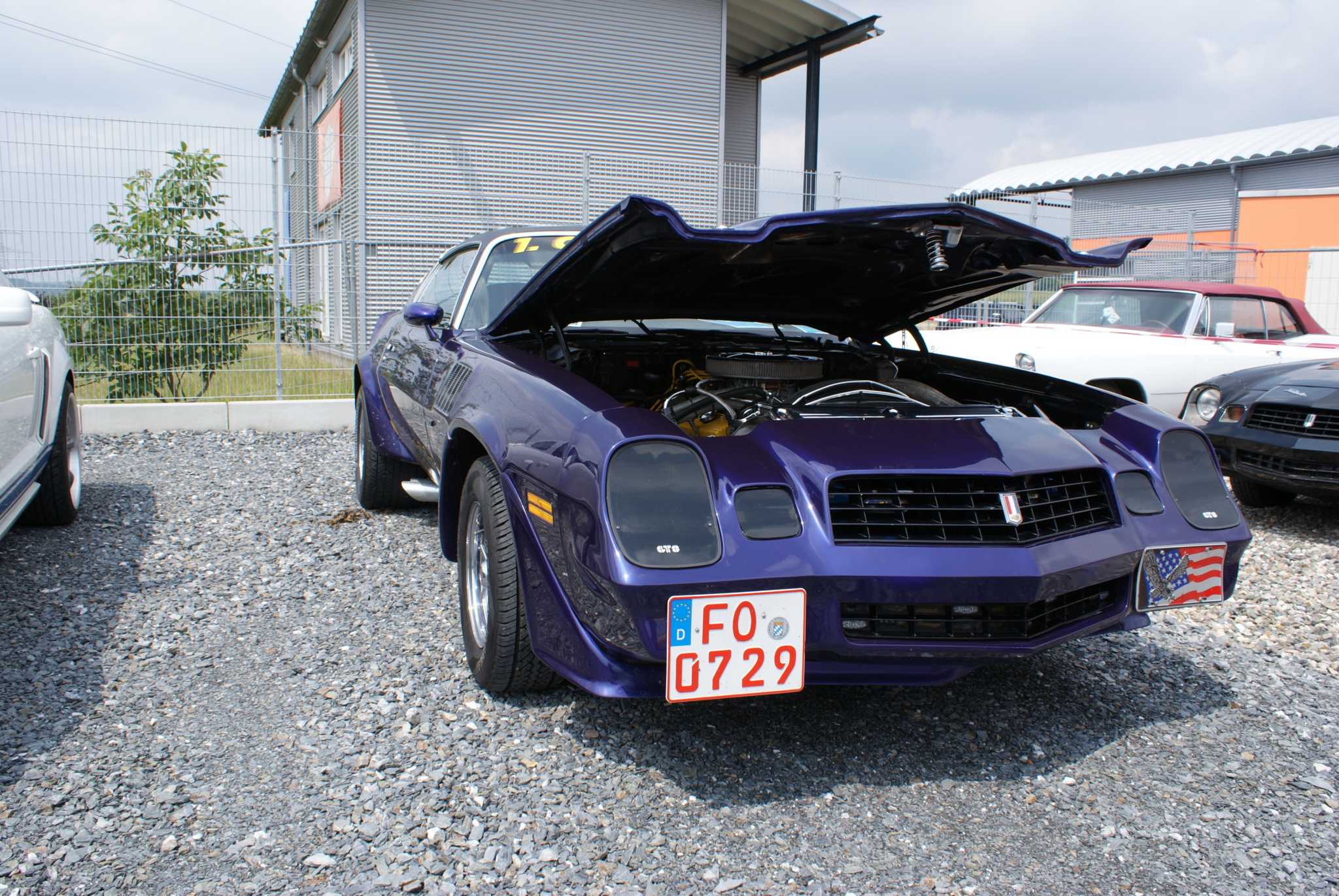 DSC00825.JPG