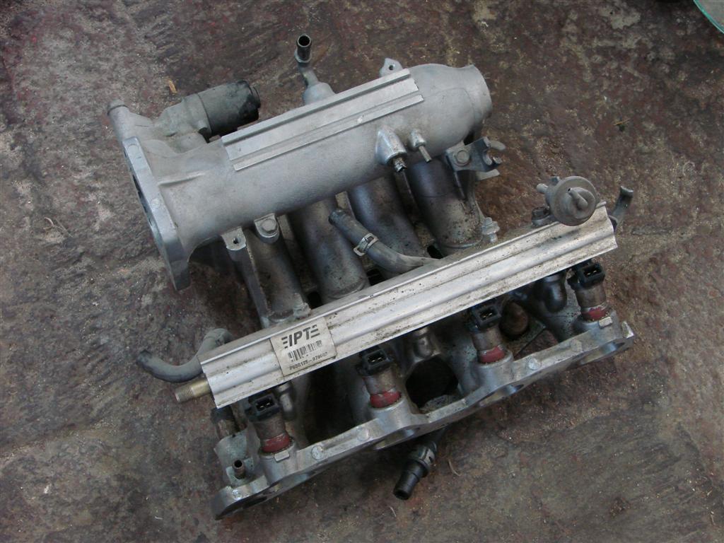 DSC03737 (Large).JPG