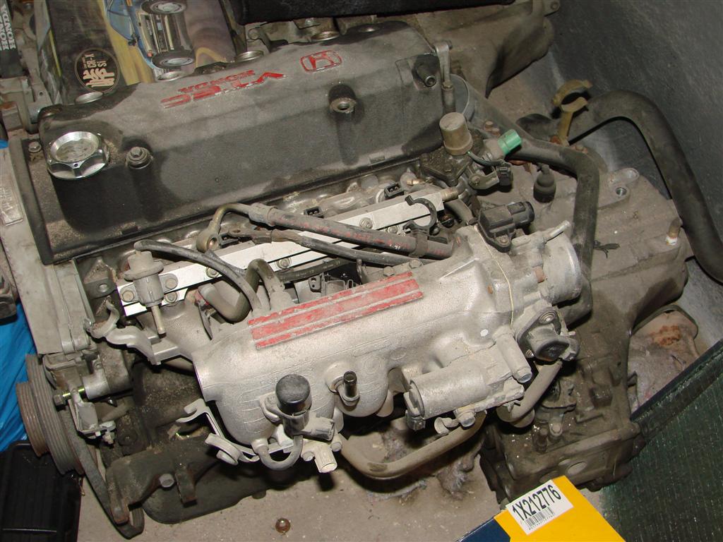 DSC03742 (Large).JPG