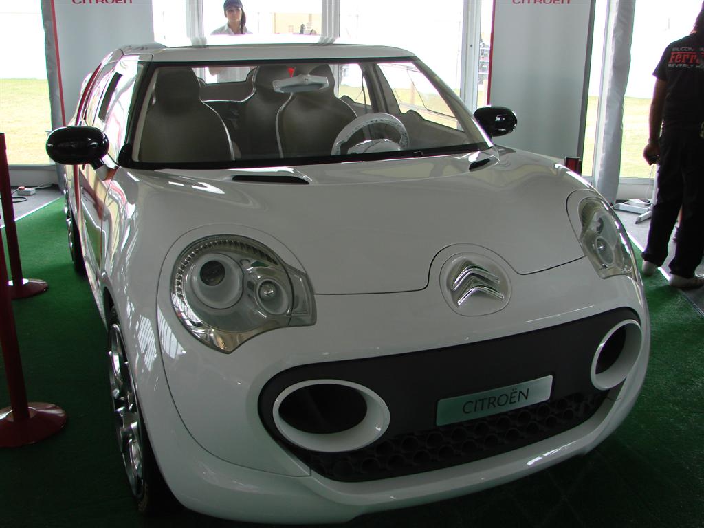 DSC03975 (Large).JPG
