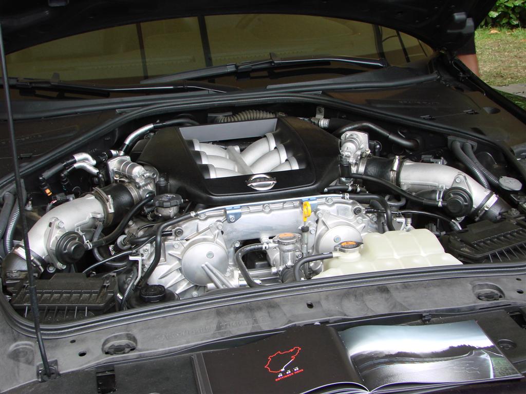 DSC04165 (Large).JPG