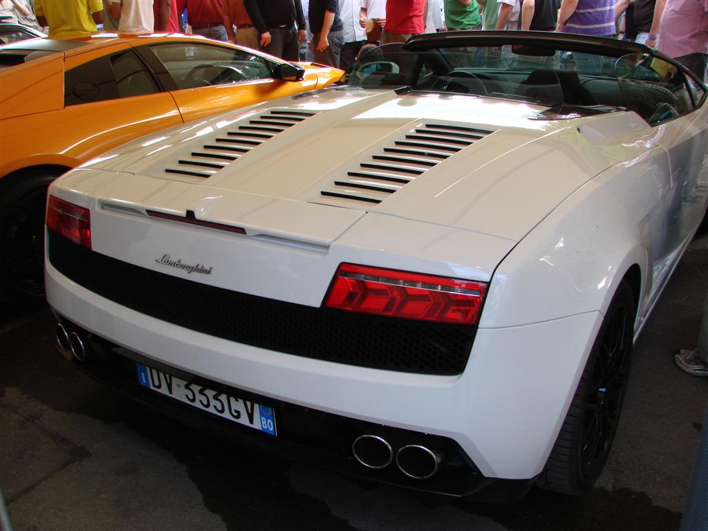 DSC04168 (Large).JPG