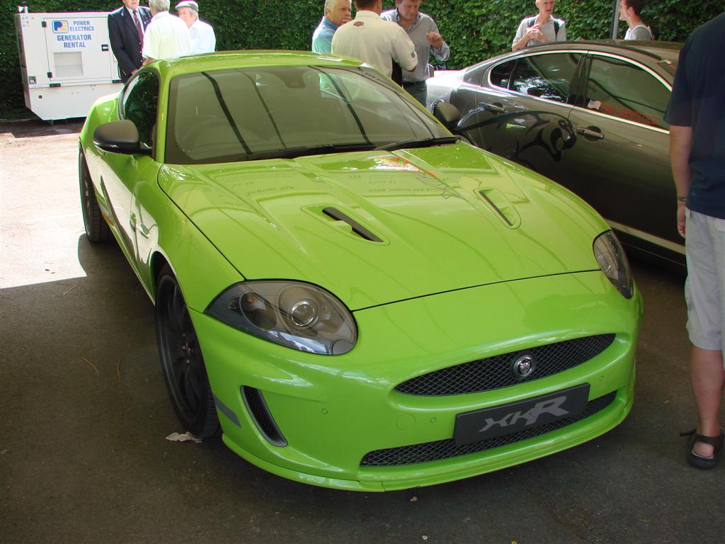 DSC04201 (Large).JPG