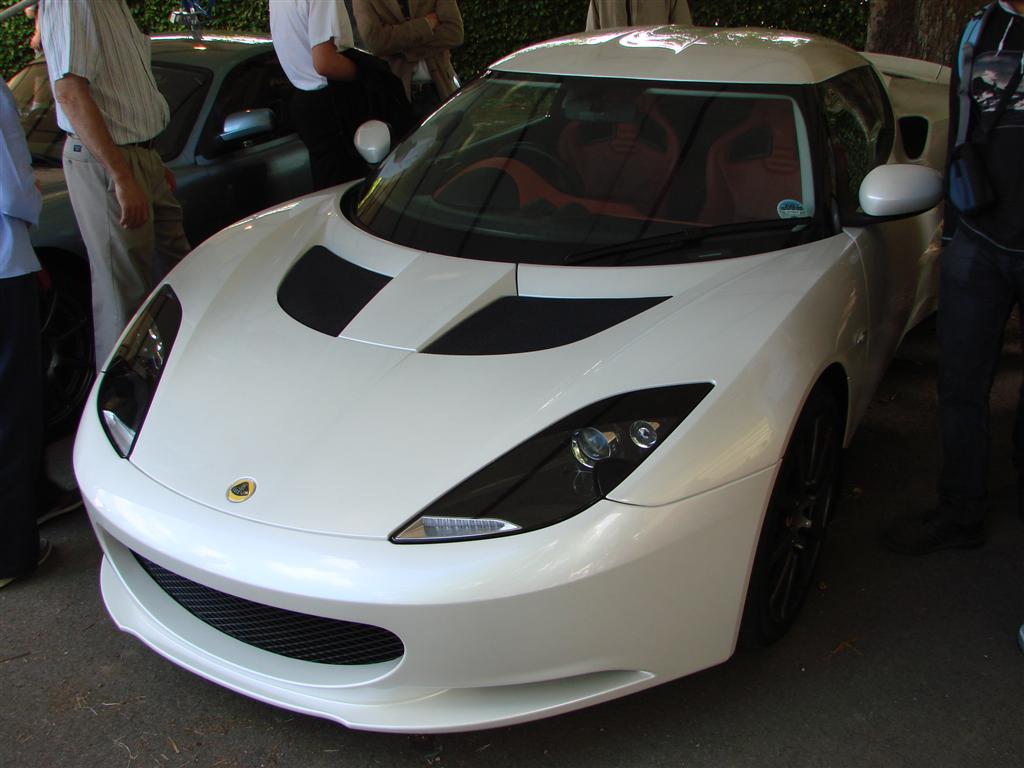 DSC04203 (Large).JPG