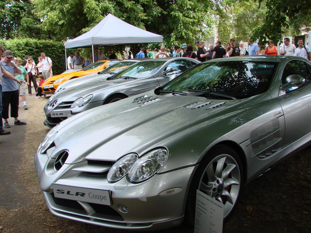 DSC04220 (Large).JPG