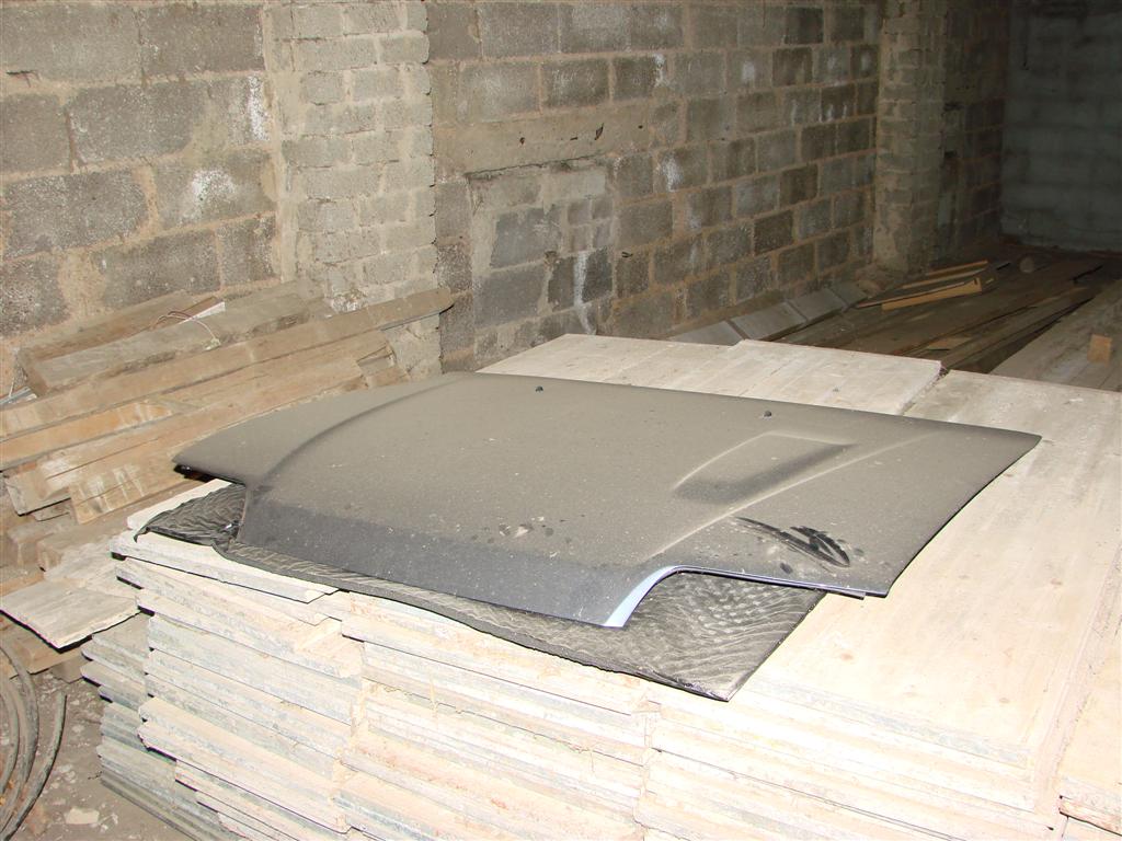 DSC04252 (Large).JPG