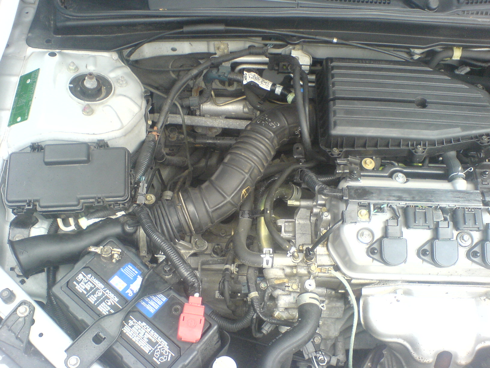DSC08193.JPG
