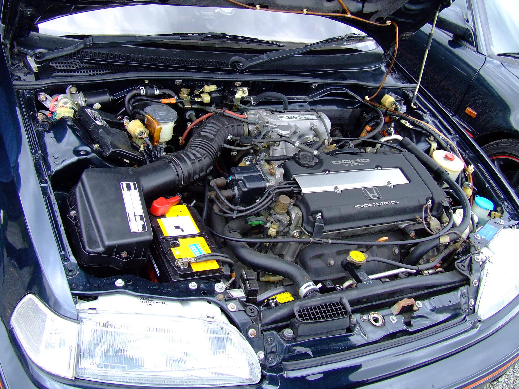 DSCF5350.JPG