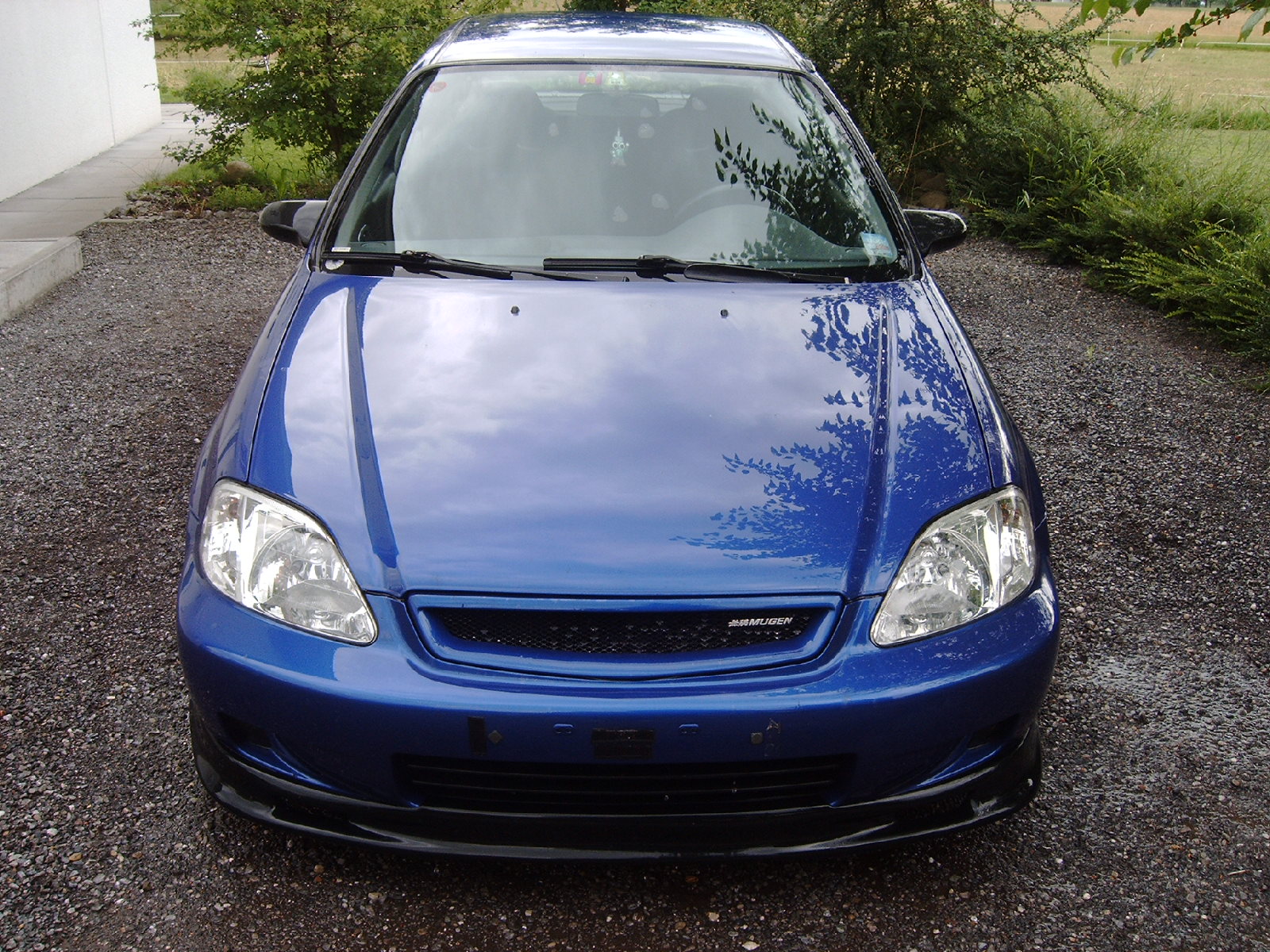 IMAG0439.JPG