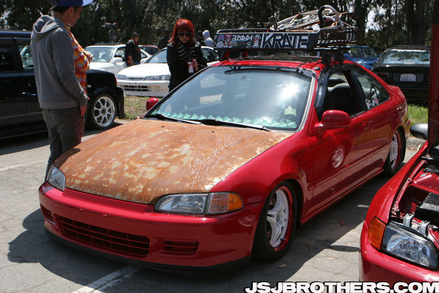 IMG_7562.sized.jpg