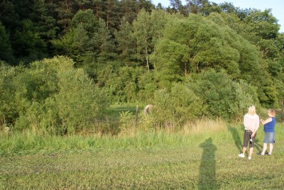 DSC00885.JPG