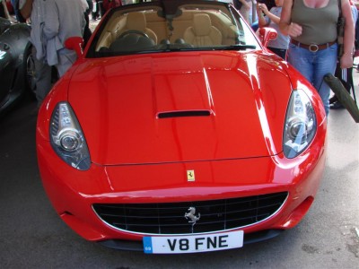 DSC04198 (Large).JPG
