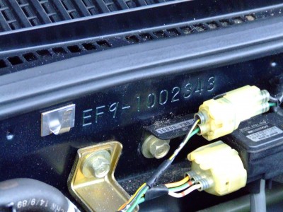 DSCF5351.JPG