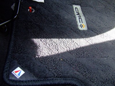 DSCF5384.JPG