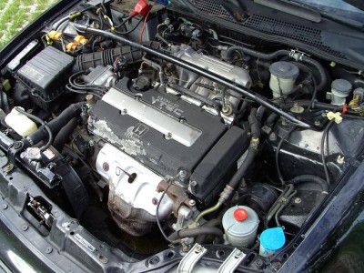 eg91.JPG
