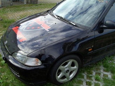 eg95.JPG