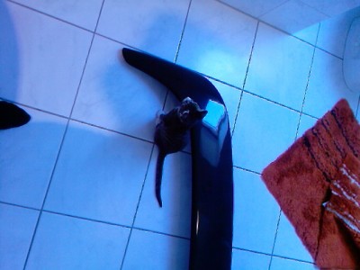 Foto-0004.jpg
